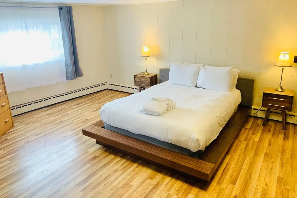 Retro Suite with kitchenette at Red Fox Inn — queen bed, sofa pullout, fridge and microwave
